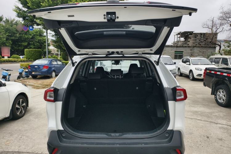 Used Toyota Wildlander 2023 2.0L CVT Four-Wheel Drive Luxury PLUS Edition