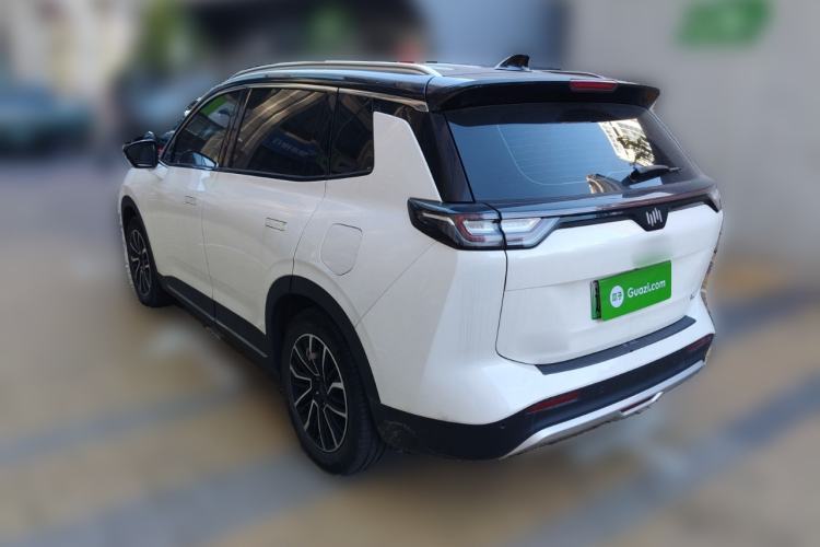 Used WM Motor W6 2021 520km PRO All-Round Edition