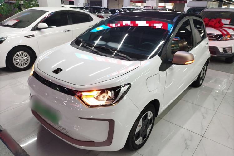 Used SOL E10X 2022 Flower Fairy Design Dandelion