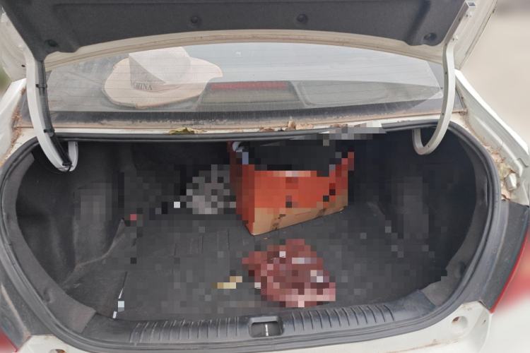 Used Geely Auto Vision 2017 1.5L Manual Happiness Edition
