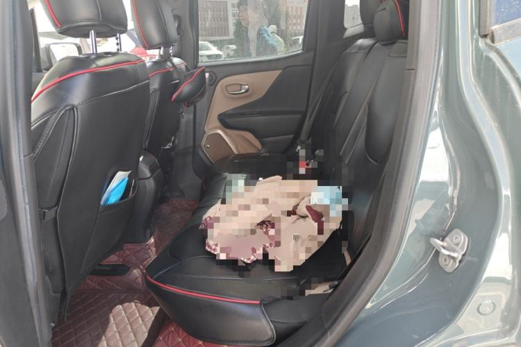 Used Jeep Renegade 2016 2.0L Automatic Four-Wheel Drive 75th Anniversary Tribute Edition Left Rear Seat