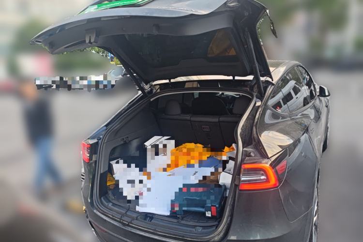 Used Tesla Model Y 2022 Revised Version Rear-Wheel Drive
