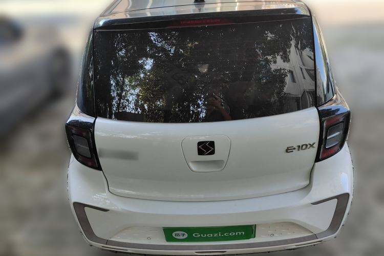 Used SOL E10X 2022 Flower Fairy Style Baby's Breath
