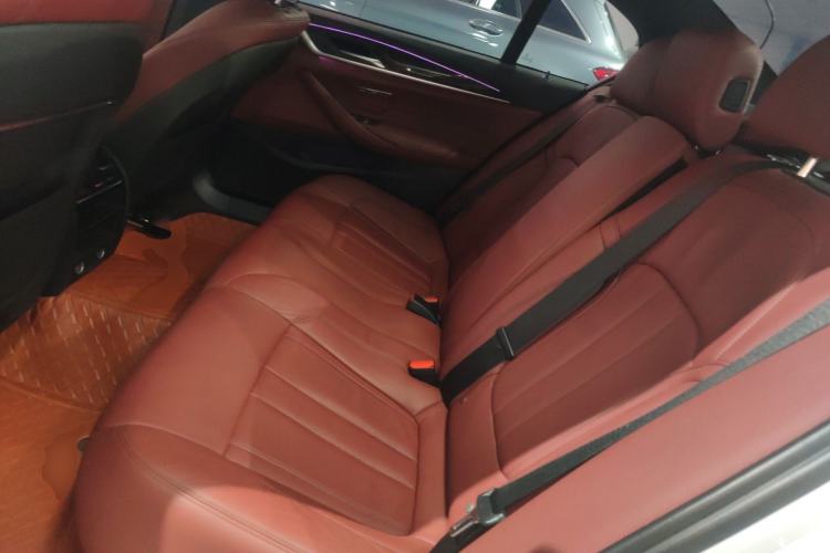 Used BMW 5 Series 2019 530Li Leading Model M Sport Package Left Rear Seat