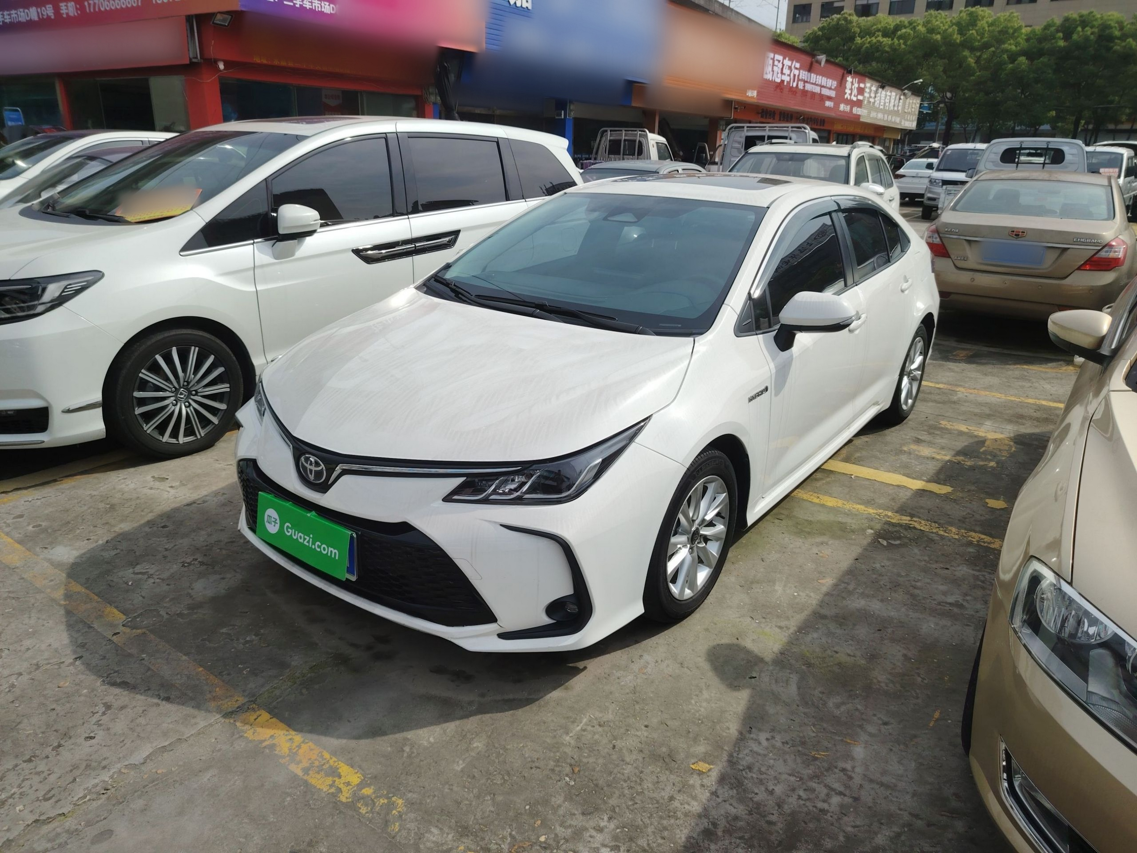 Parte inferior delantera