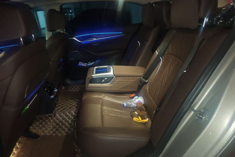 Used BMW 5 Series 2020 530Li Luxury Edition Premium Package