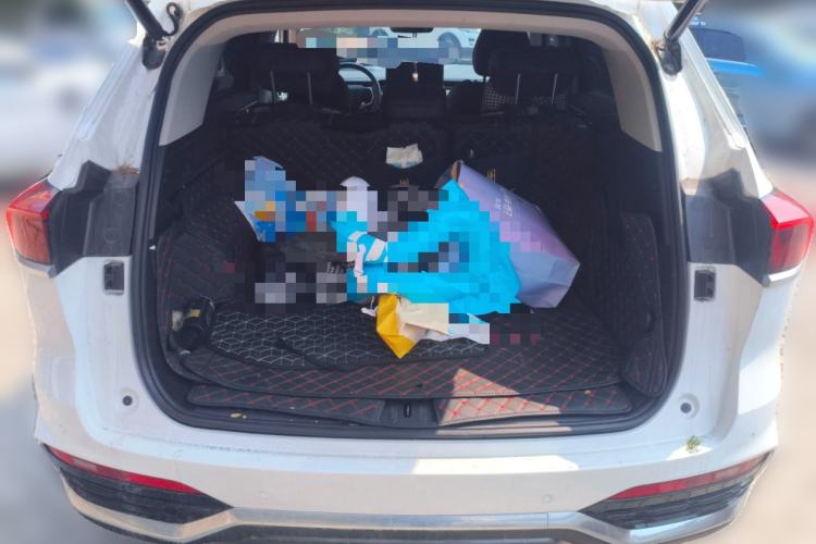 Used Wey Latte DHT 2022 1.5T DHT Big Cup