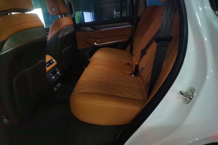 Used Tank 500 New Energy 2026 Model—Hi4-T Smart Enjoyment Version
