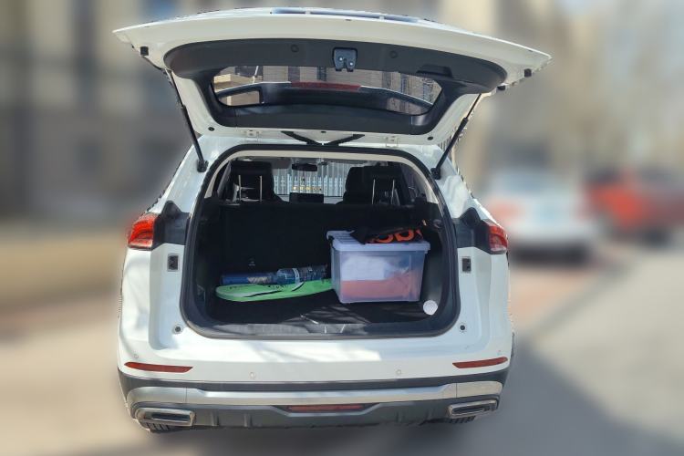 Used Haval H6 2023 National Trend Edition 1.5T Automatic Urban Version
