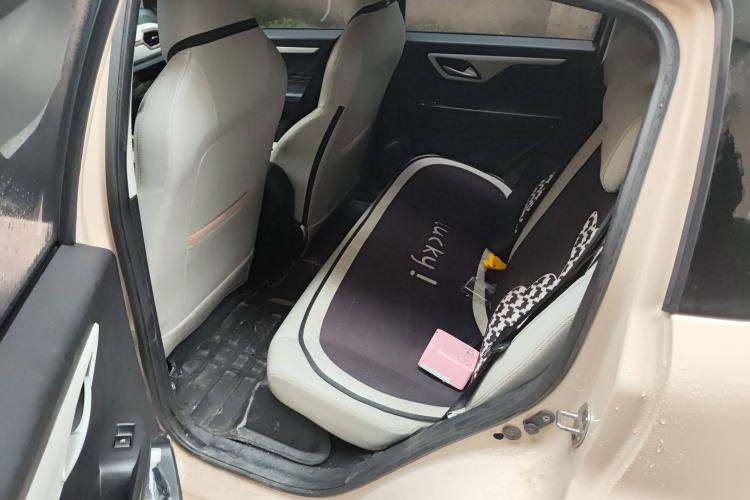 Used SOL E10X 2022 Flower Fairy Style Baby's Breath