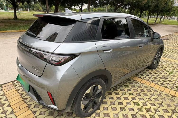 Used BYD Dolphin 2024 Honor Edition 420km Freedom Version