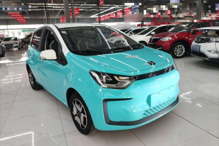 Used SOL E10X 2022 Flower Fairy Style Baby's Breath
