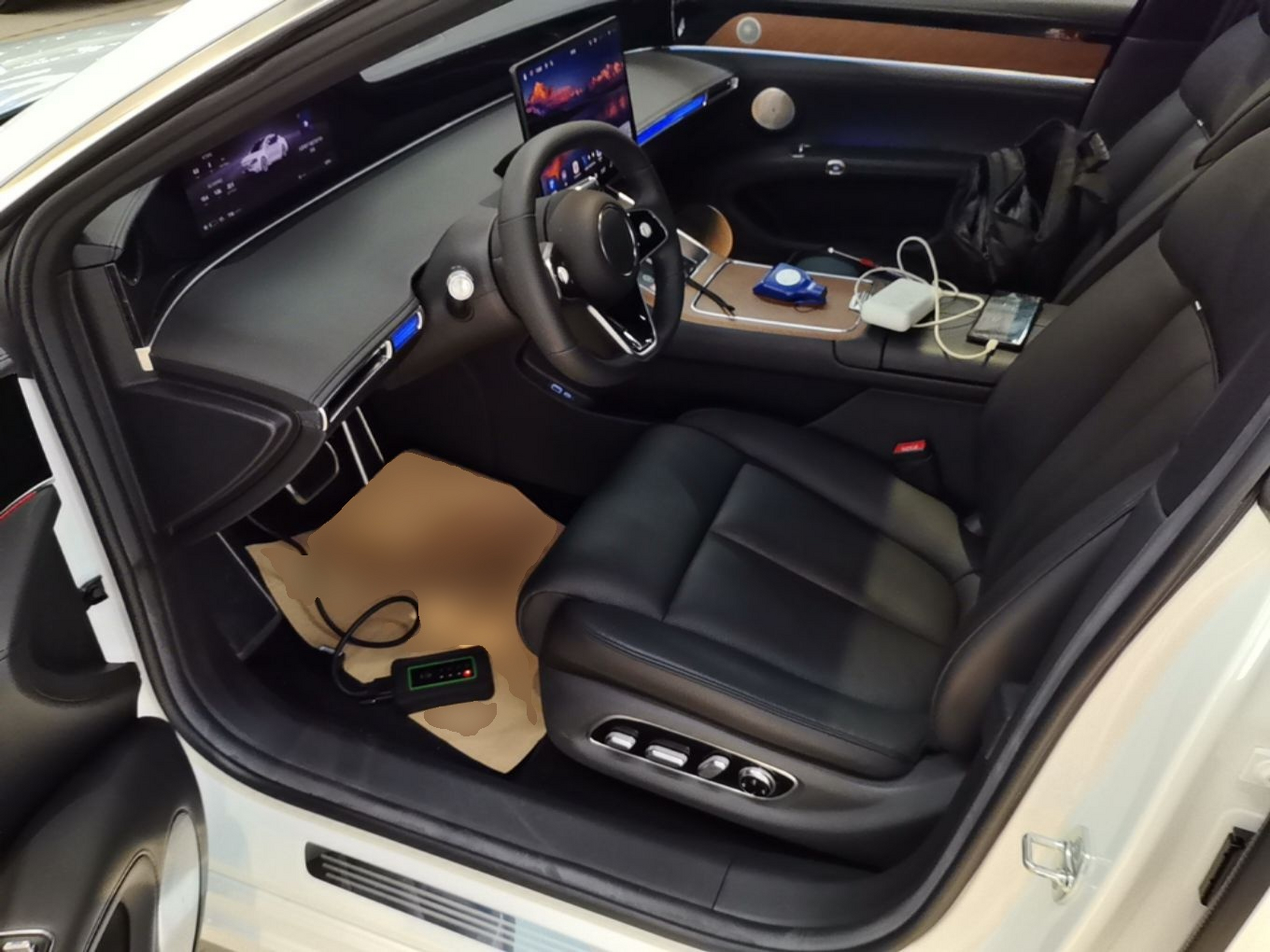 Interior delantero
