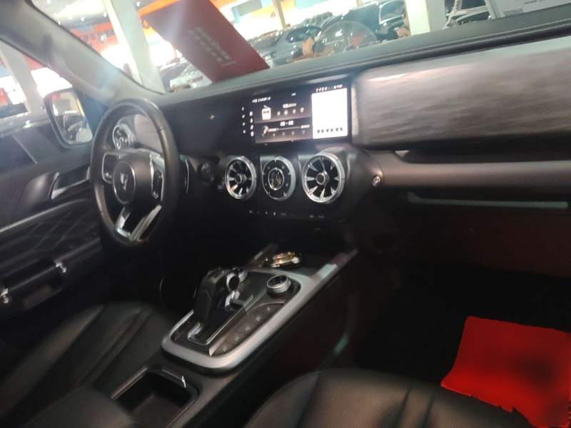 Used Tank 300 2022 2.0T Border Limited Edition — 9