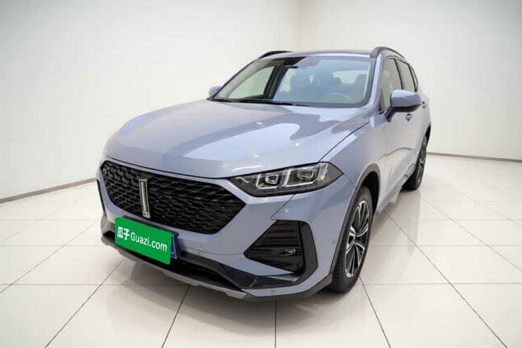 Used Wey Latte DHT 2022 1.5T DHT Extra-Large Cup