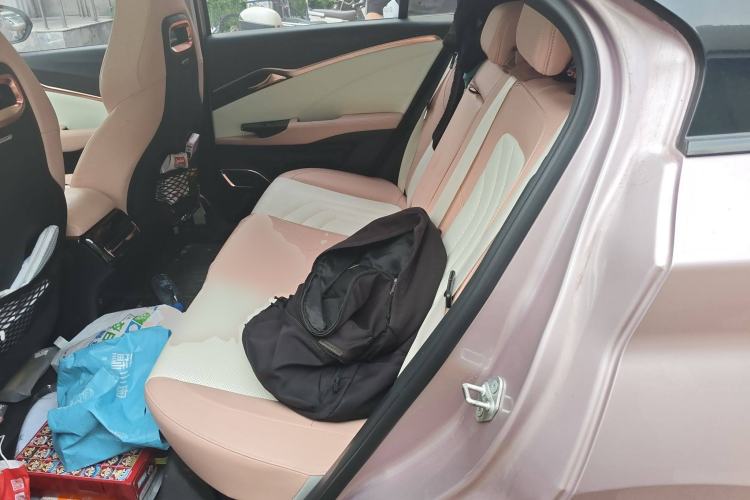 Used NETA U 2022 NETA U-Ⅱ 500 Lithium Iron Phosphate