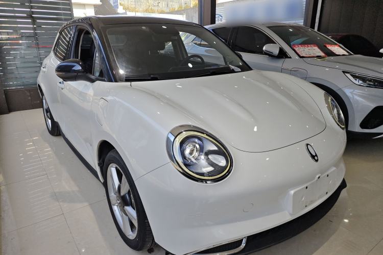 Used ORA Good Cat 2022 400km Standard Range Premium Version Lithium-Ion Battery
