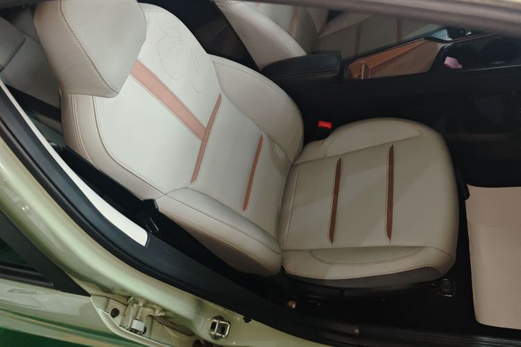 Used SOL E10X 2022 Flower Fairy Design Four-Leaf Clover Right Front Seat