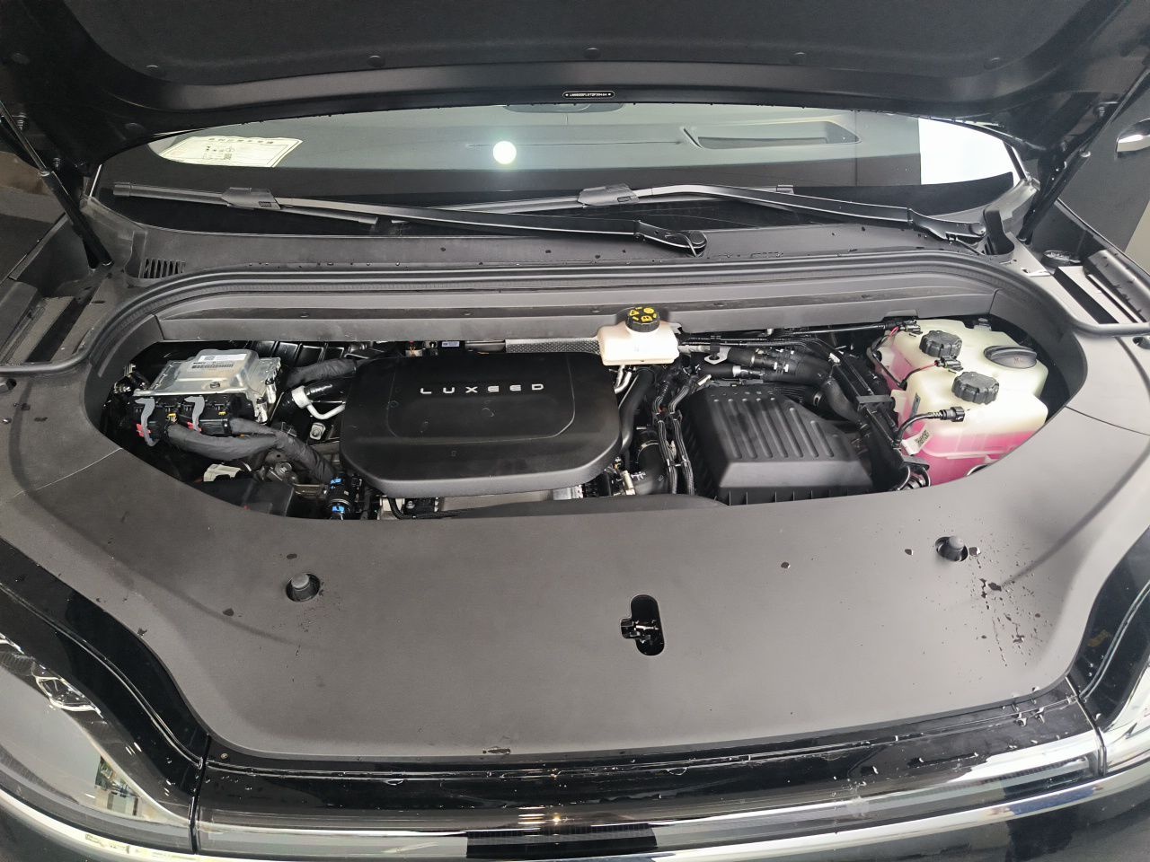  V9
