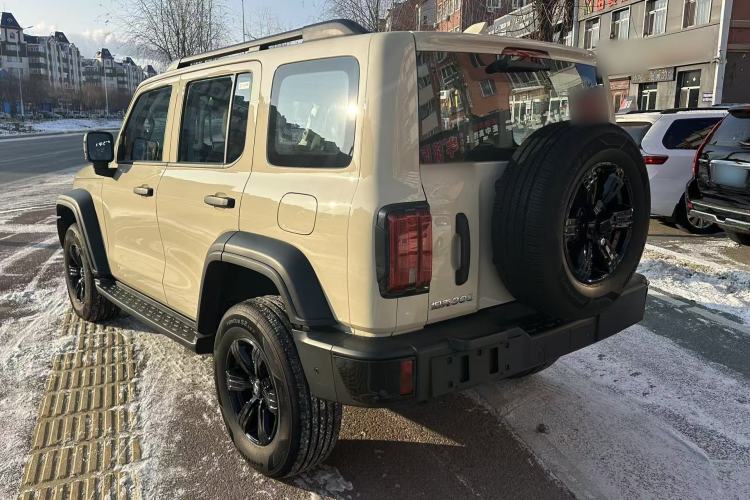 Used Tank 300 2025 2.4T Diesel Version
