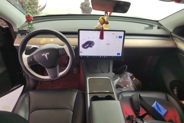 Used Tesla Model Y 2021 Standard Range Rear-Wheel Drive Version