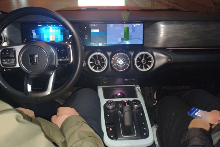 Used Tank 300 2021 City Edition 2.0T My Vision Model
