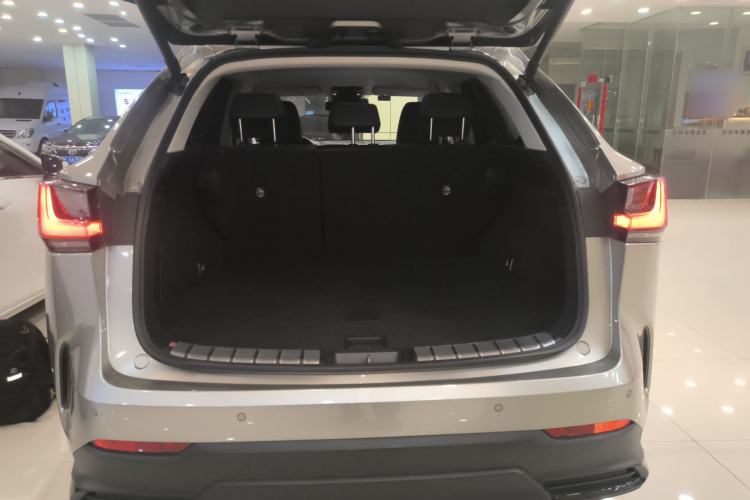 Used Lexus NX 2024 350h Front-Drive Xinchu Version