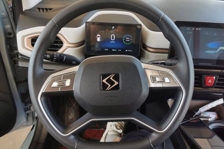 Used SOL E10X 2022 Flower Fairy Design Four-Leaf Clover