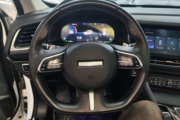 Used Haval F7 2020 1.5T Two-Wheel Drive i-Trend Steering Wheel