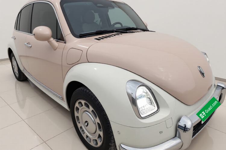 Used ORA Ballet Cat 2023 401 km Luxury Version
