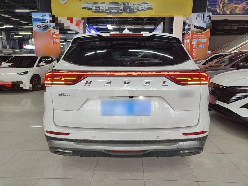 Used Haval H6 2023 National Trend Edition 1.5T Automatic Urban Version — 5
