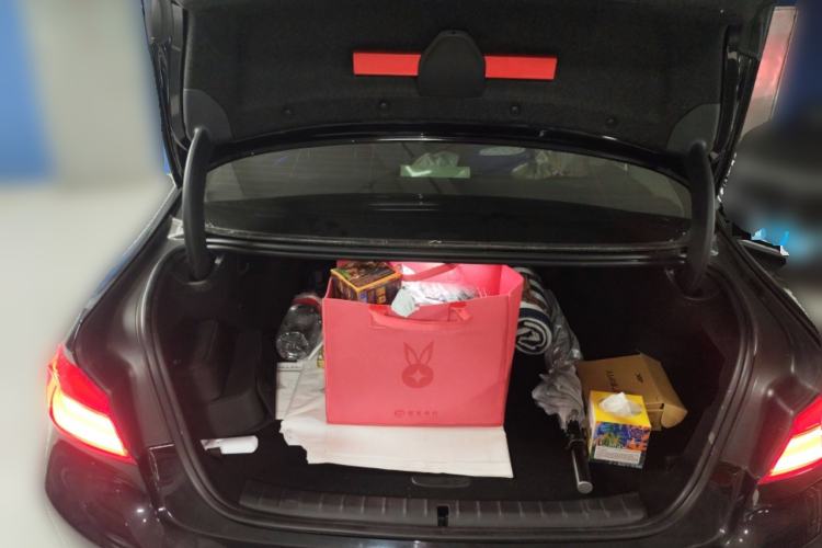 Used BMW 5 Series New Energy 2019 530Le Luxury Package Trunk