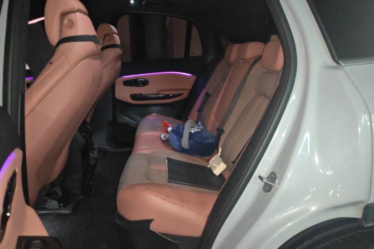 Used Nio EC6 2020 430 km Sport Version Left Rear Seat