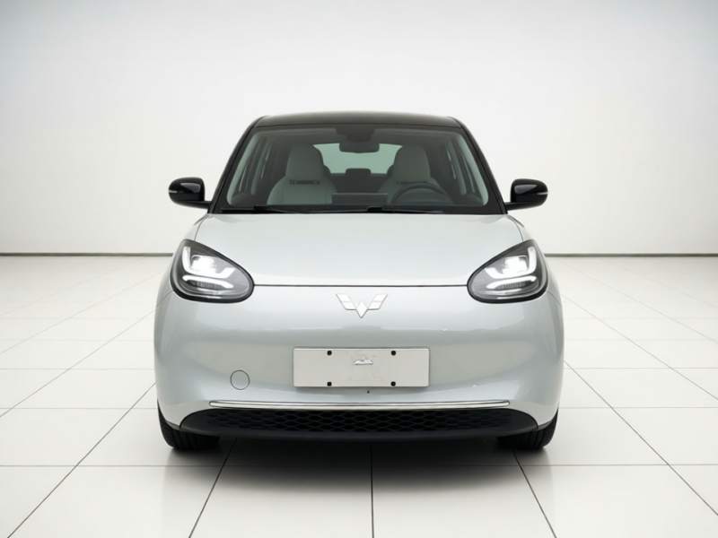Used Wuling Bingo 2024 333 km Enjoyment Version — 2
