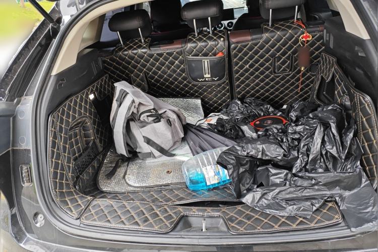 Used Wey VV5 2020 1.5T Two-Wheel Drive Color Pioneer
