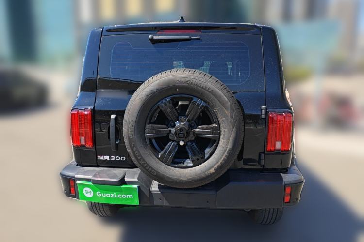 Used Tank 300 2025 2.0T Conqueror
