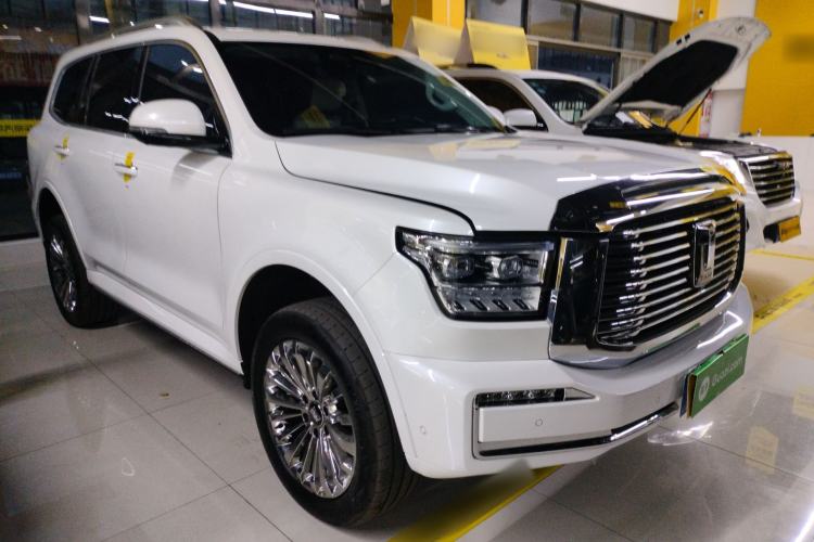 Used Tank 500 2022 3.0T Business Edition "Creation Realm" Design 5-Seater
