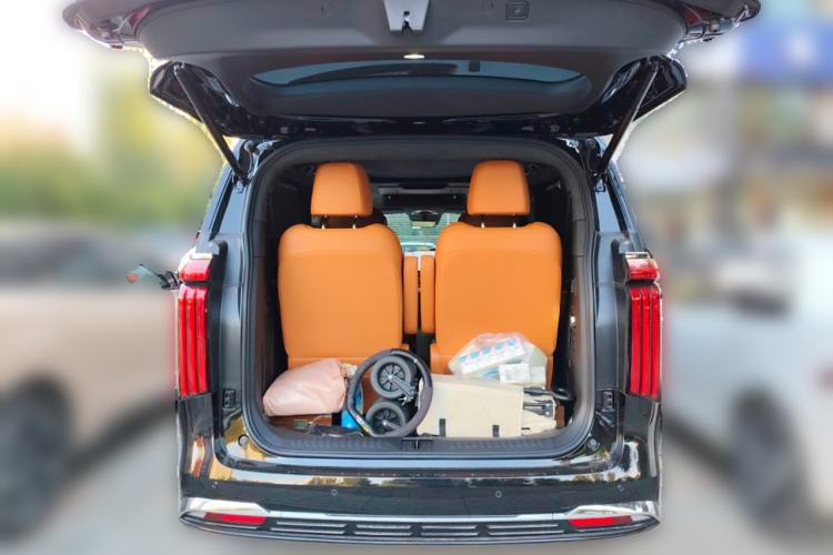 Used Wey Gaoshan 2025 Four-Wheel Drive Alpine 9
