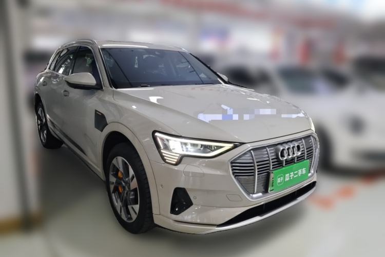 Used Audi e-tron 2019 55 quattro Technology Edition
