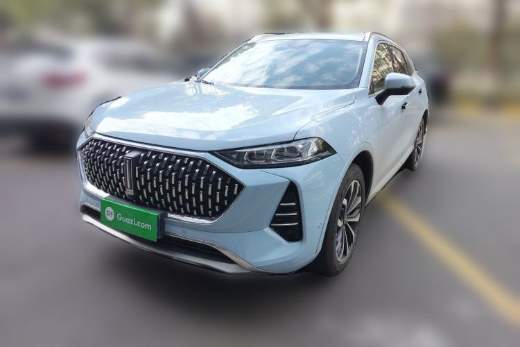 Used Wey Mocha 2021 2.0T Two-Wheel-Drive Premium Edition