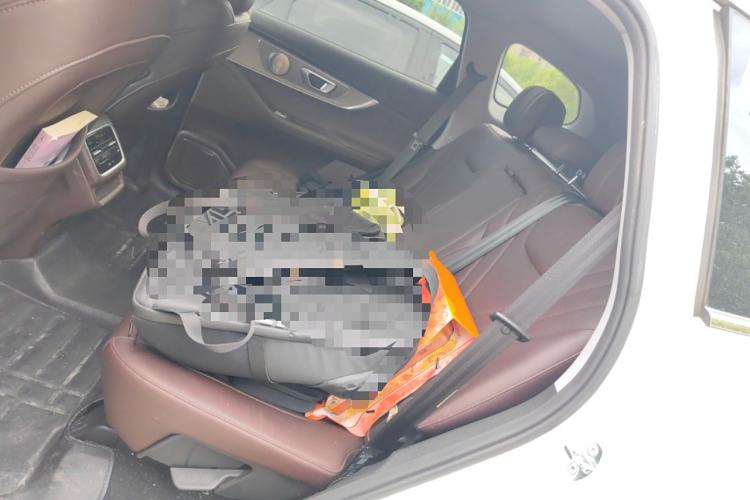 Used Chery Tiggo 8 PRO 2024 Champion Edition 390T Two-Wheel Drive Peak Version 5 Seats
