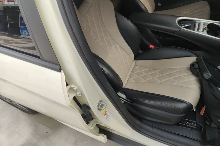 Used BYD Dolphin 2021 405 km Fashion Edition Right Front Seat