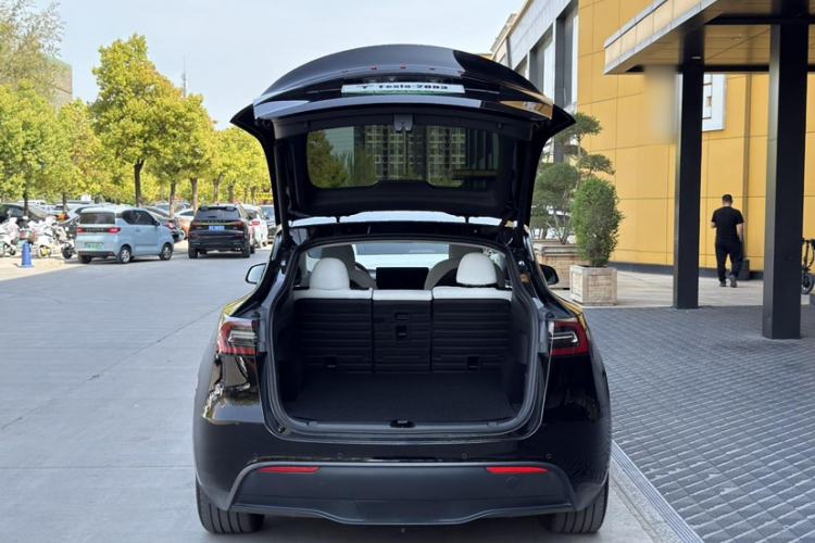 Used Tesla Model Y 2021 Long-Range All-Wheel-Drive Version
