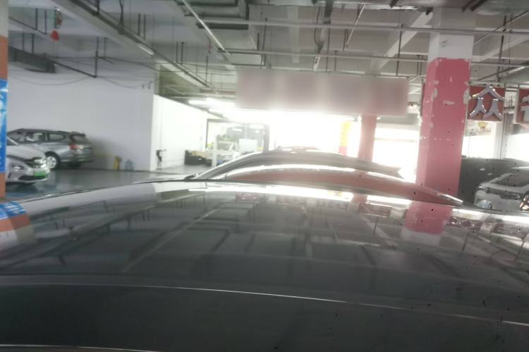 Used SOL E10X 2022 Flower Fairy Design Four-Leaf Clover