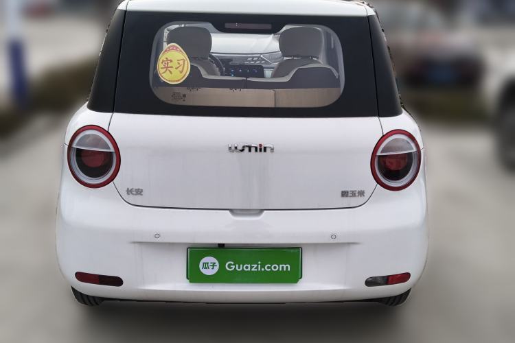 Used Qiyuan Lumin 2025 205 km Xiangqin Version