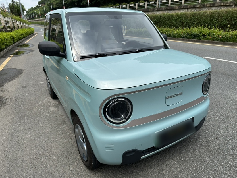 Geely Galaxy Panda 2023 Panda Mini 200km Endurance Bear — снимка 16