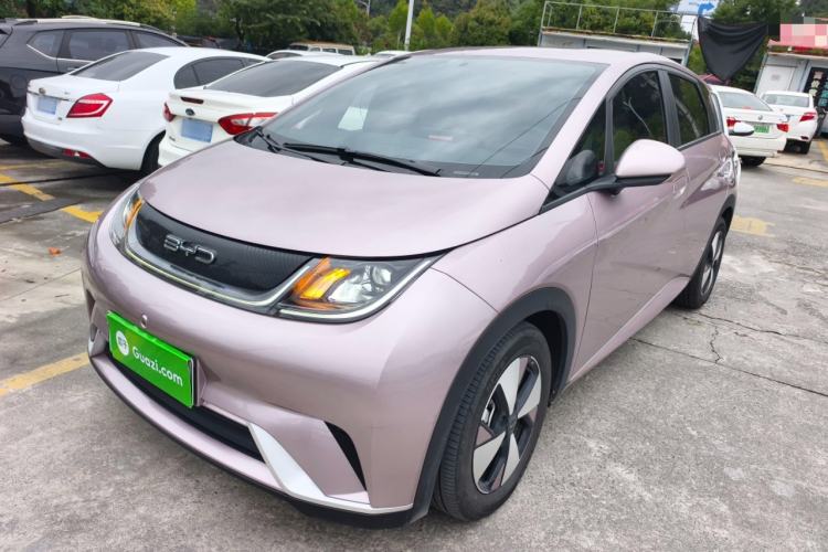 Used BYD Dolphin 2023 420 km Free Version