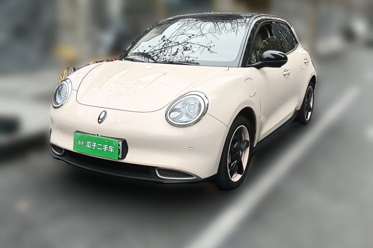 Used ORA Good Cat 2023 401 km Standard Range Luxury Version Lithium Iron Phosphate