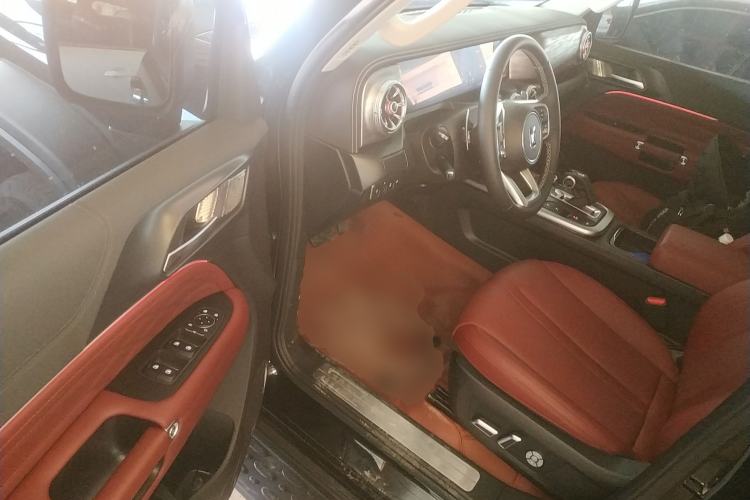 Used Tank 300 2024 2.0T Conqueror