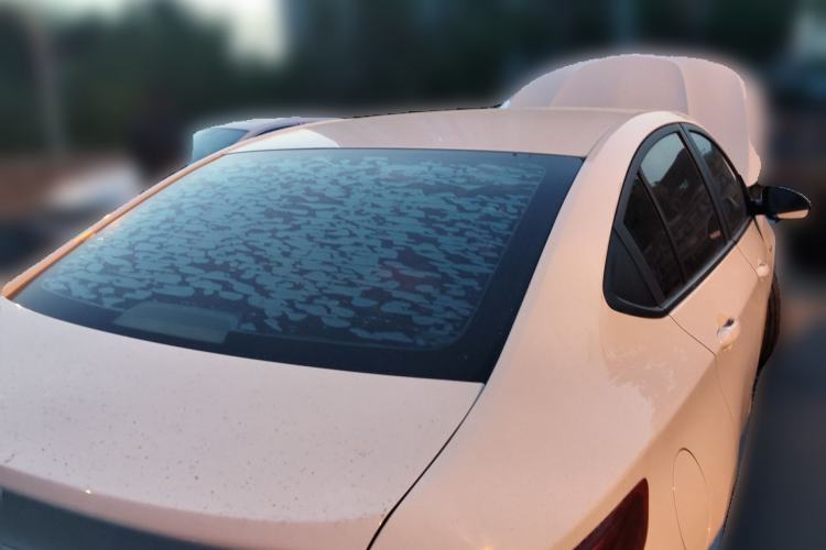 Used Chevrolet Cavalier 2016 1.5L Automatic Enjoyment Edition